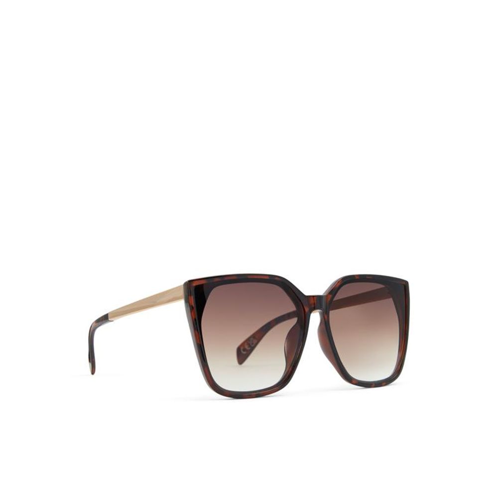 ALDO Brown Polycarbonate Sunglasses