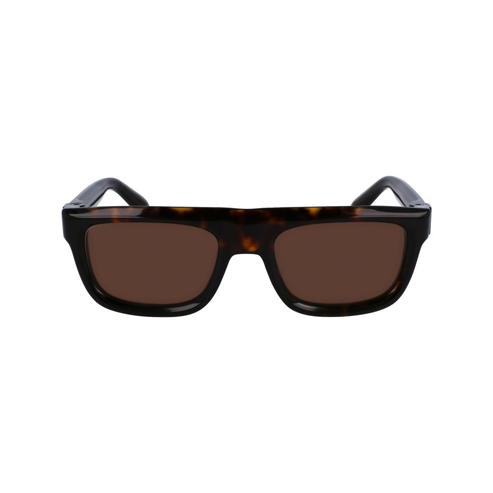 Ferragamo Brown Acetate Sunglasses